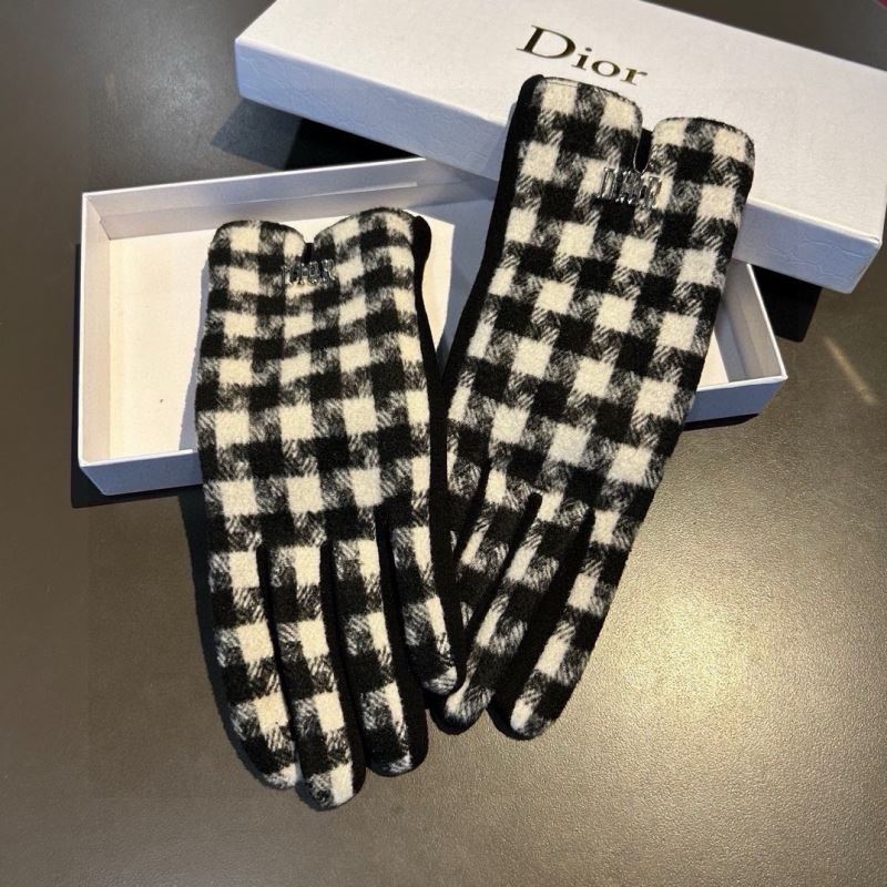 Christian Dior Gloves